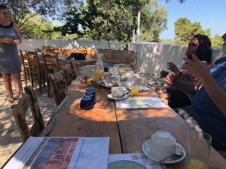 Olive Grove Tour & Olive Oil Tasting and Lunch in Messinia - Experience Details
