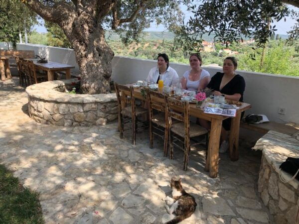 Olive Grove Tour & Olive Oil Tasting and Lunch in Messinia - The Sum Up