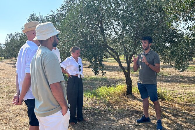 Olive Grove Tour With Wine & Olive Oil Tasting in Balestrate - Tour Details and Accessibility