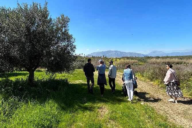 Olive Grove Tour With Wine & Olive Oil Tasting in Balestrate - Sample Menu