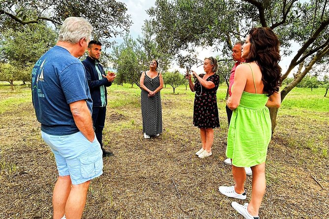 Olive Grove Tour With Wine & Olive Oil Tasting in Balestrate - Activities