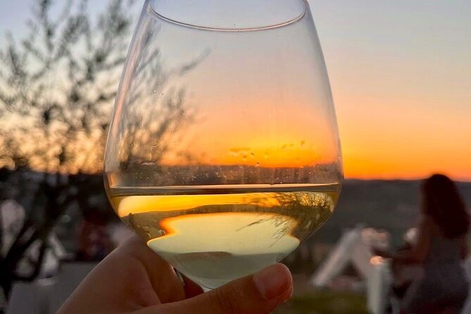 Olive Grove Tour With Wine & Olive Oil Tasting in Balestrate - Directions