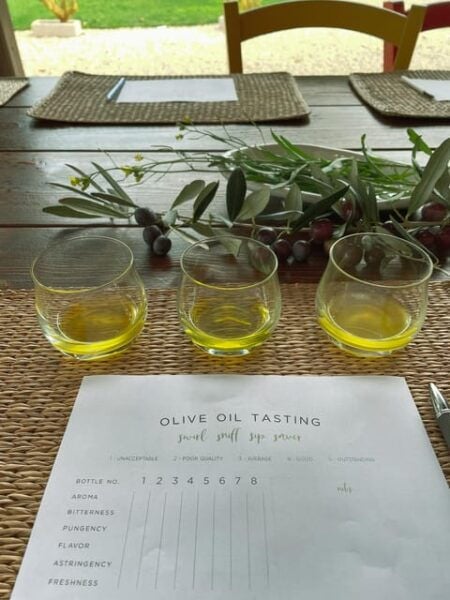 Olive Grove Walking, Puglian Food and Olive Oil Pairing Tour - Participant Guidelines