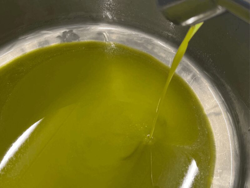 Olive Mill Tour and Tasting in the Padua Hills - What to Expect from the Olive Mill Tour