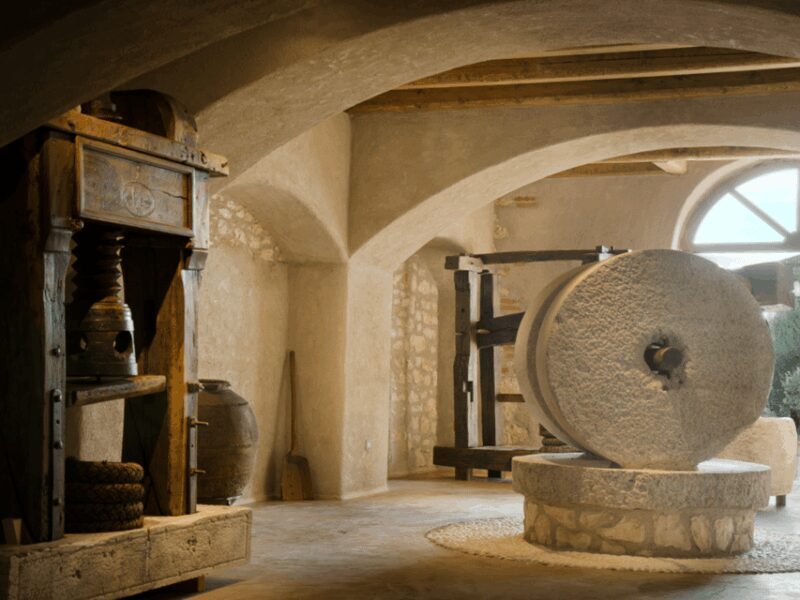 Olive Mill Tour and Tasting in the Verona Countryside - A Closer Look at the Tour Experience