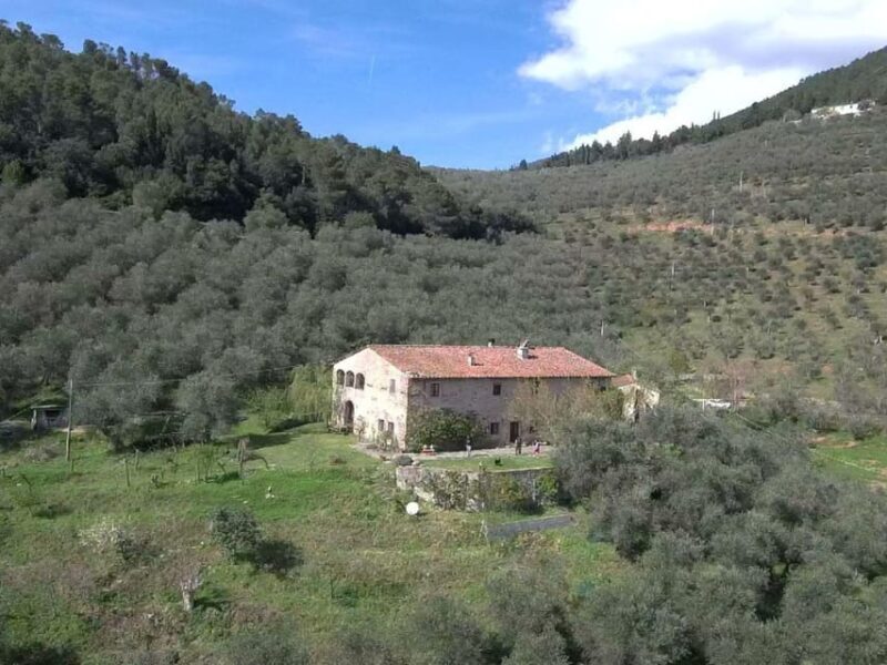 Olive Mill Tour with Oil and Food Tastings near Pisa - Good To Know  