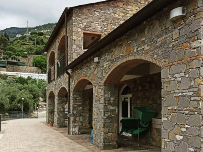 Olive Mill Visit & Guided Tasting in Taggia - Shopping for a Taste of Liguria