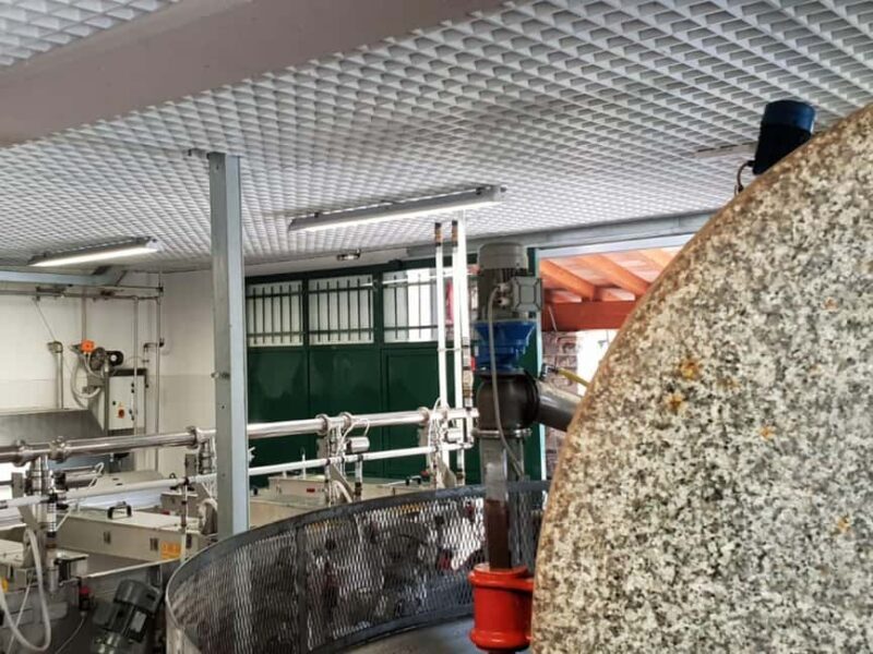 Olive Mill Visit & Guided Tasting in Taggia - Practical Details and What to Expect