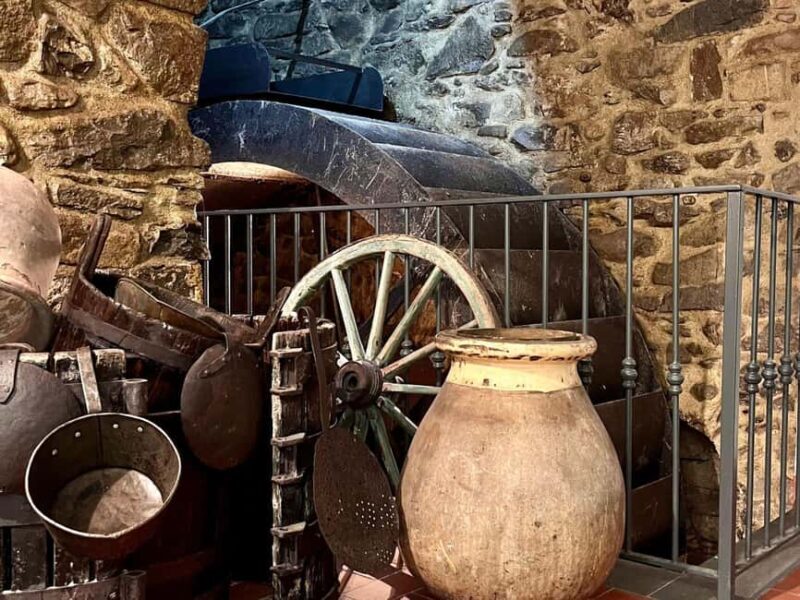 Olive Mill Visit & Guided Tasting in Taggia - What Guests Say: Authenticity and Knowledge