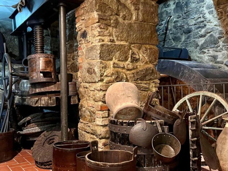 Olive Mill Visit & Guided Tasting in Taggia - The Sum Up: The Right Pick for Authentic Olive Oil Insights