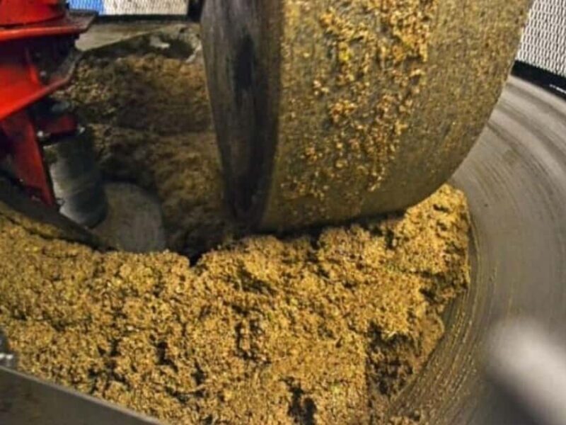 Olive Mill Visit & Guided Tasting in Taggia - FAQ