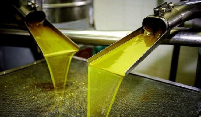 Olive Mill Visit & Olive Oil Tasting 3-Hour Trip Private - Highlights
