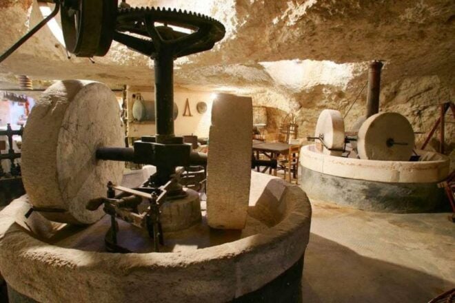 Olive Mill Visit & Olive Oil Tasting 3-Hour Trip Private - Private Group