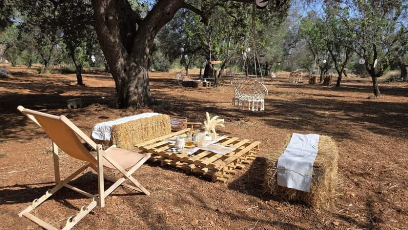 Olive Oil and almond Tour and Tasting: Brindisi, Ostuni - Exploring the Details of the Tour