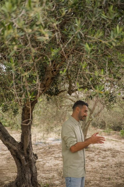 Olive Oil Evening A Journey of Taste, Tradition and Horses - Culinary Delights and Tastings