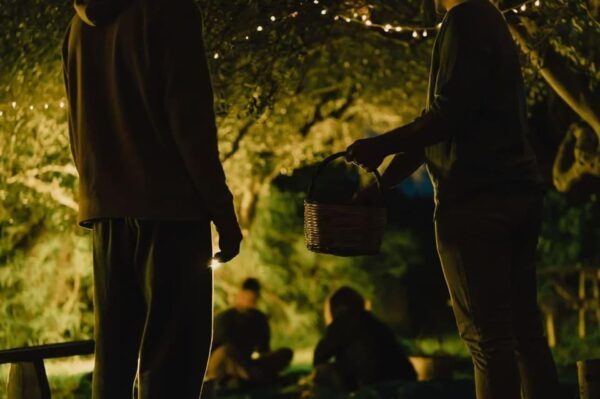 Olive Oil Evening A Journey of Taste, Tradition and Horses - Included Amenities and Services