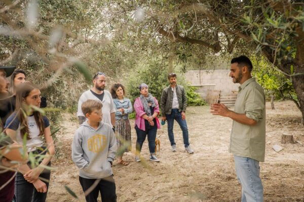 Olive Oil Evening A Journey of Taste, Tradition and Horses - Booking Information and Details
