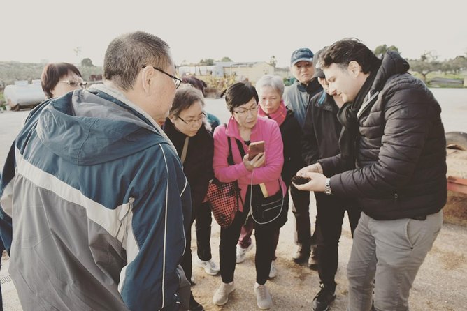 Olive Oil Experience - Guided Tasting and Lunch Experience