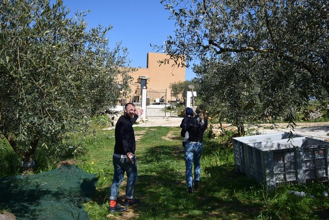 Olive Oil Experience - Start Time and Meeting Point Details