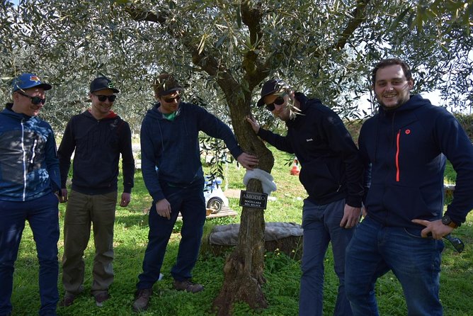 Olive Oil Experience - What to Expect: Confirmation, Accessibility, and Private Tour Information