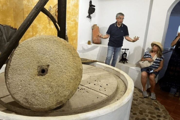 Olive Oil Factory From Sevilla Private Tour - Tour Details