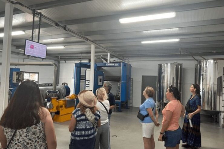 Olive Oil Factory From Sevilla Private Tour - Highlights