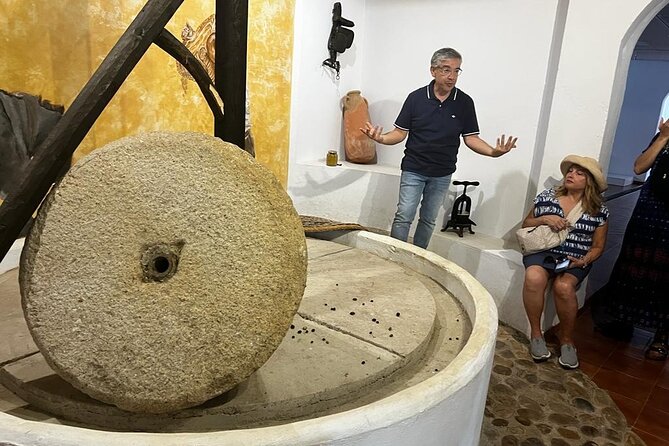 Olive Oil Factory From Seville Private Tour - Tour Overview