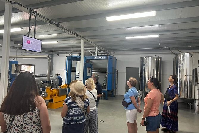 Olive Oil Factory From Seville Private Tour - Expert Guided Tour