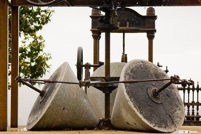 Olive Oil Farm Tour With Tasting From Seville - Tour Highlights