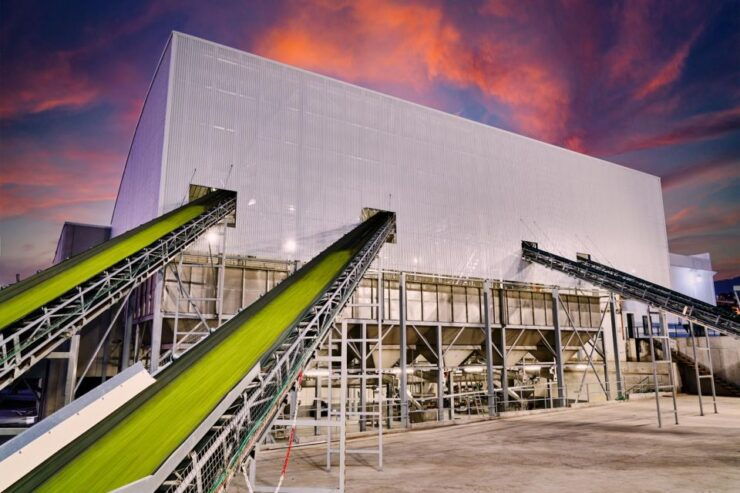 Olive Oil Mill Tour & Tasting - Activity Details