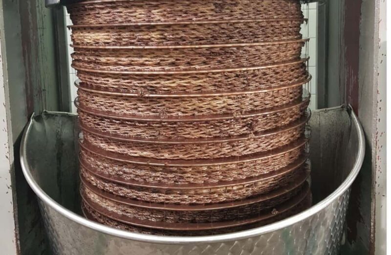 Olive Oil Mill Tour with Tasting and Gift near Bari - Who Should Consider This Tour?