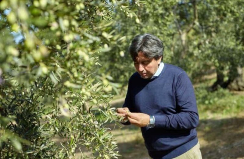 Olive Oil Mill Tour with Tasting near Bari - Good To Know