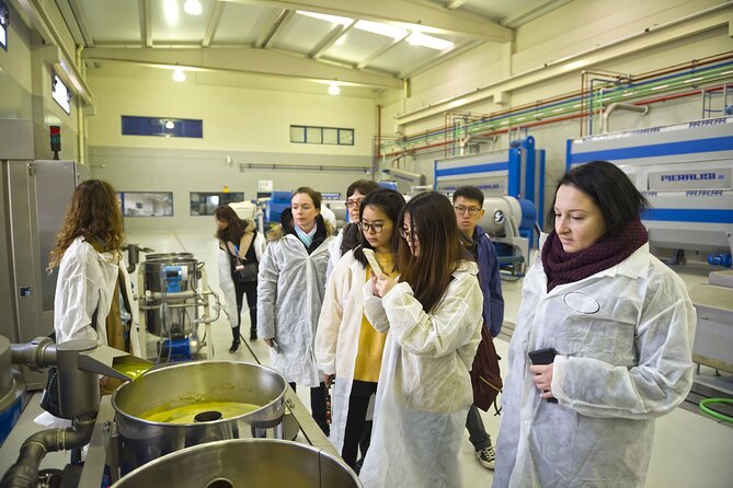 Olive Oil Mill Visit With Extra-Virgin Olive Oil Tasting in Jaén - Traveler Limit and Operator Information
