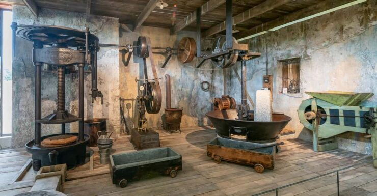 Olive Oil Museum Visit - Museum Highlights