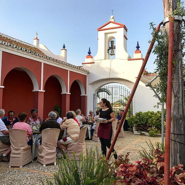 Olive Oil of Andalucia and Carmona: From Seville - Tour Overview