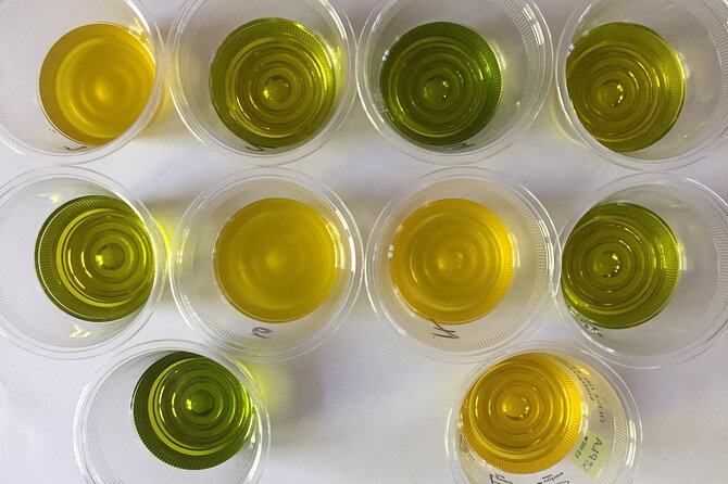 Olive Oil Private Full-Day Tour With Tasting in Valencia - Whats Included