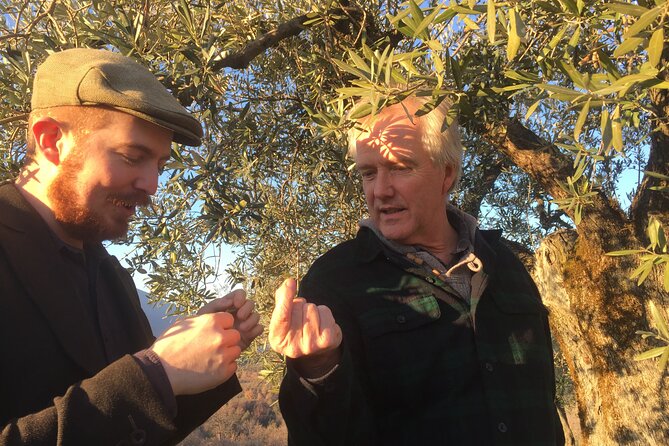 Olive Oil Private Full-Day Tour With Tasting in Valencia - Local Olive Oil Producers