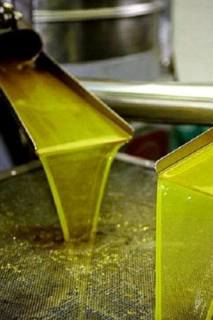 Olive Oil Tasting 3-Hour Trip From Chania Souda Cruise Port - Highlights of the Experience