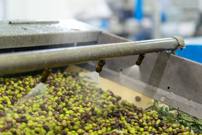 Olive Oil Tasting & Ancient Epidavros - Pickup and Meeting Details