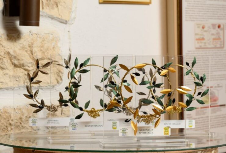 Olive Oil Tasting and Greek Language Game - Event Highlights