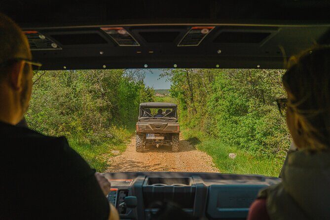 Olive Oil Tasting and Sunset Buggy Tour with Your Local Guide - Practical Considerations