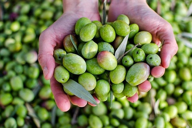 Olive Oil Tasting Breakfast & Tour in Cordoba - Common Questions