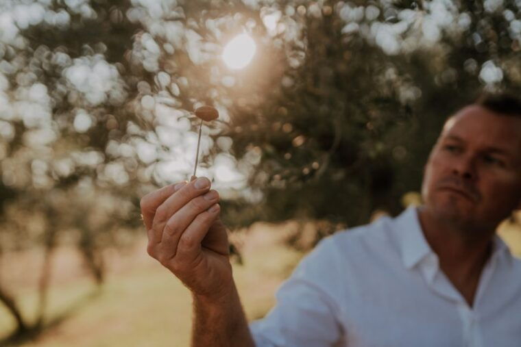 Olive Oil Tasting Experience a Journey of Flavors and Aromas - The Sum Up