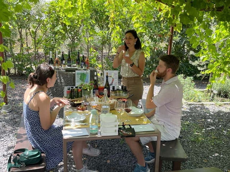 Olive Oil Tasting Experience in Nicolosi - What to Expect and Practical Details