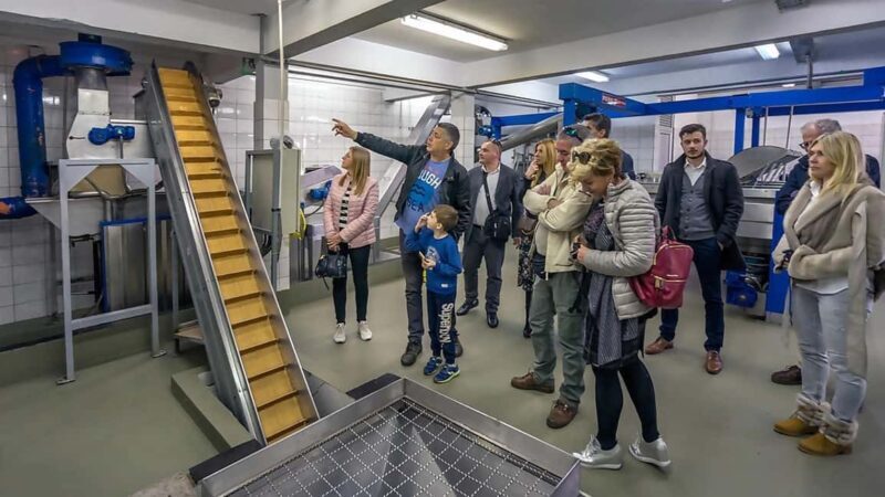 Olive Oil Tasting & Factory Tour: olta Island from Split - The Journey Begins with a Ferry Ride