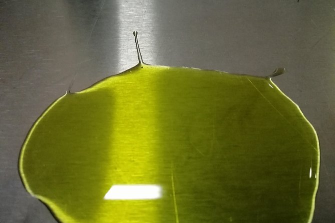 Olive Oil Tasting in Abruzzo - Top Olive Oil Varieties to Try