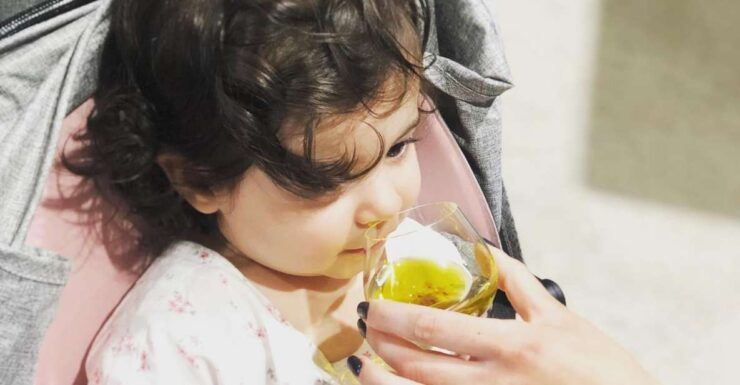 Olive Oil Tasting in Crete - Experience Details