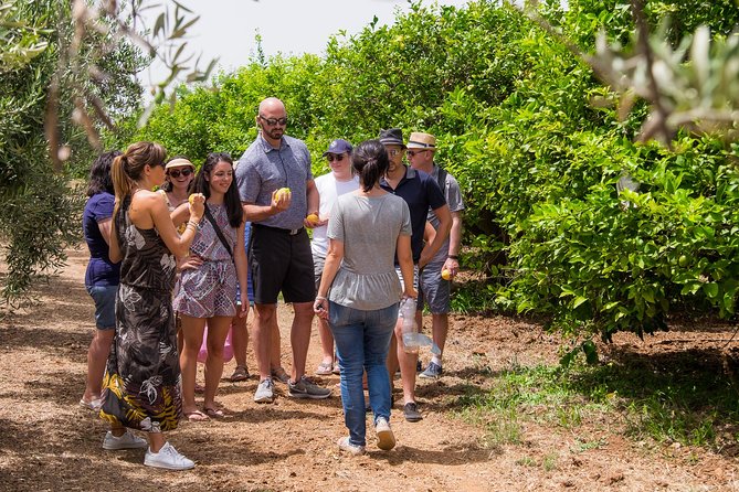 Olive Oil Tasting in Syracuse - Fairytale Tour - Common Questions