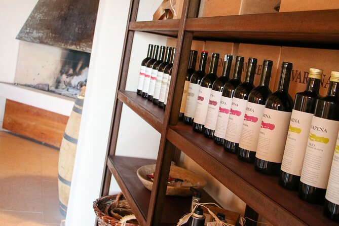 Olive Oil Tasting on The Hills of Valpolicella - Event Overview
