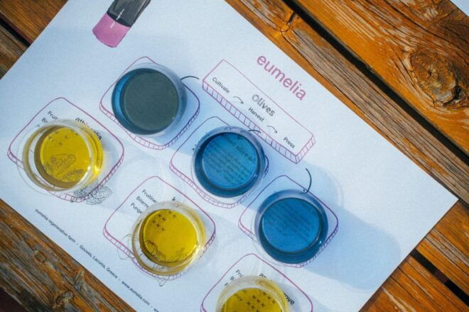 Olive Oil Tasting: Secrets From Ancient Olive Groves - Guided Experience With Experts